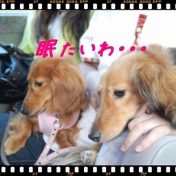 画像 ２００８年　遠足♪　土岐プレミアムアウトレット！！ の記事より 20つ目
