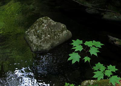 mizu