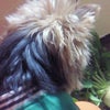 なんですか??の画像
