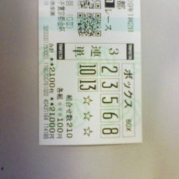競馬 de 生活-20090105155350.jpg