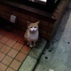 一度は言ってみたいセリフの画像