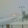 大雪の画像