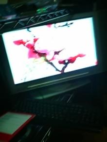 テレビ