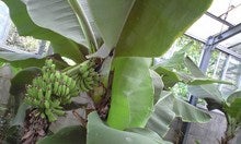 CA390064.JPG