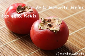 kaki