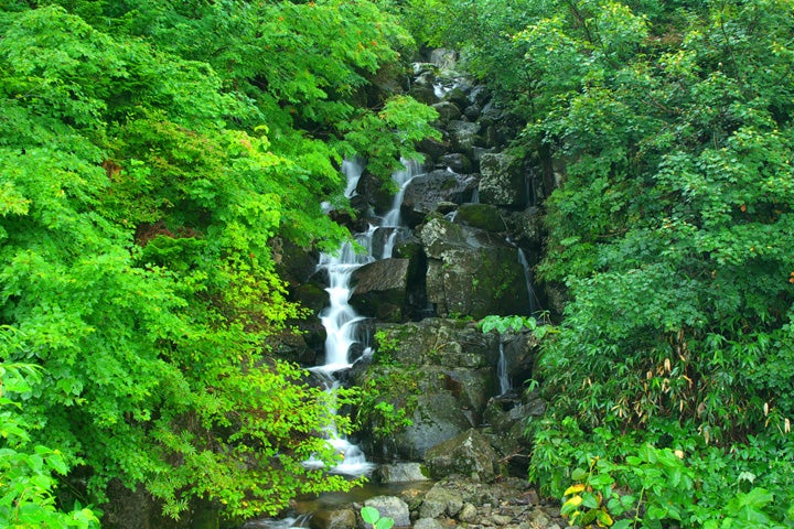 涼風の滝