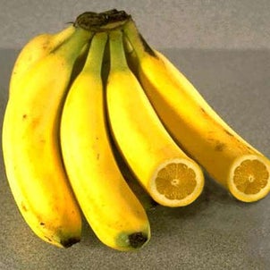 バナナのたたき売りの画像
