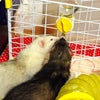 飲みたいねぇ～☆の画像