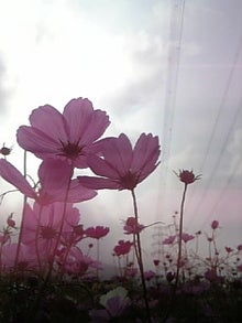 Image1402.jpg