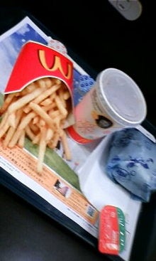 ﾟ+･ＲｙＯ'ｓ*ＢＬＯＧ.゜-081209_1130~01.JPG