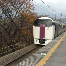 画像 ホリデー快速ビューやまなし号で勝沼ぶどう郷へ①215系 の記事より 2つ目