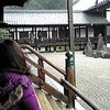 in東福寺の件の画像