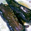 でんでんでん。。の画像