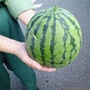 こんなん出ました～♪の画像