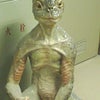 まっ、幻の…の画像