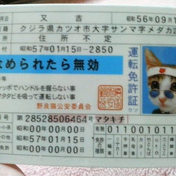 画像 帰省 の記事より