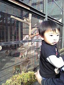 080323_1531~01.JPG