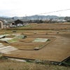 サーキットに行って来ました！の画像