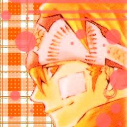 モヤシ至上主義。