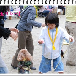 画像 【わんわん運動会！！ｉｎ２００８】Part２♪ の記事より 51つ目