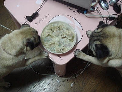 餃子出来上がり!