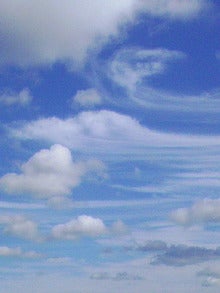 ハチワンビート-071020_1129~01_0001.JPG