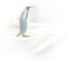 壁紙ペンギン２