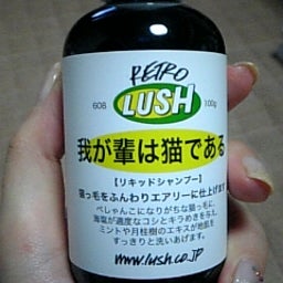 yummy!-090202_212847.jpg