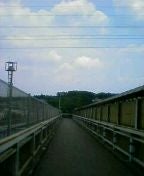 橋はしった