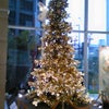 ハービスENTのクリスマスツリーの画像
