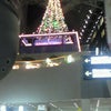 クリスマスですね。の画像