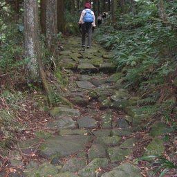 画像 小田急ハイキング『箱根』を歩く の記事より 9つ目