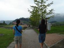 もーもー