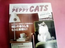 画像0256.jpg