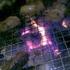 ホルホルモンモン♪①の画像