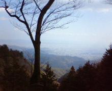 200703041344000.jpg