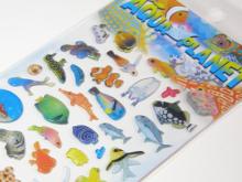 ダイビンググッズ・海の雑貨屋【Sea Shell便】　  　　　　　店長しーちゃんの気ままな日記-aq2