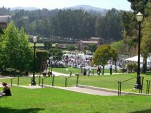 graduation3