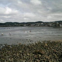 2008090320240000.jpg