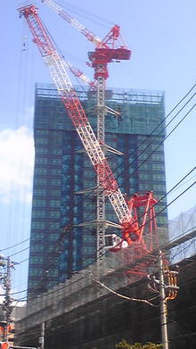 080910_133321.jpg