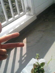 080403_1247~01.JPG