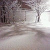 ＊雪だるま＊の画像
