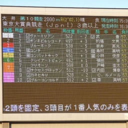 ウマキュン！！！-出走馬