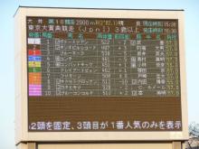 ウマキュン！！！-出走馬
