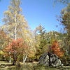 去年の今頃は・・の画像