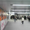 おもわぬ発見。の画像