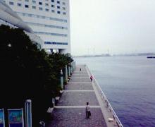 200607011136000.jpg