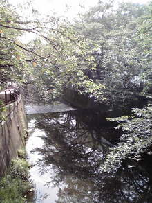 2008091710300000.jpg