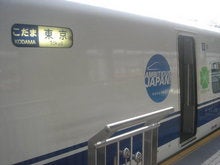 170529_kodamagreen.jpg