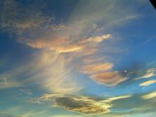 200609181823000.jpg